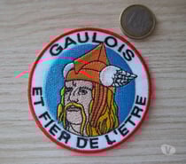 écusson patriotique gaulois insigne collection vintage