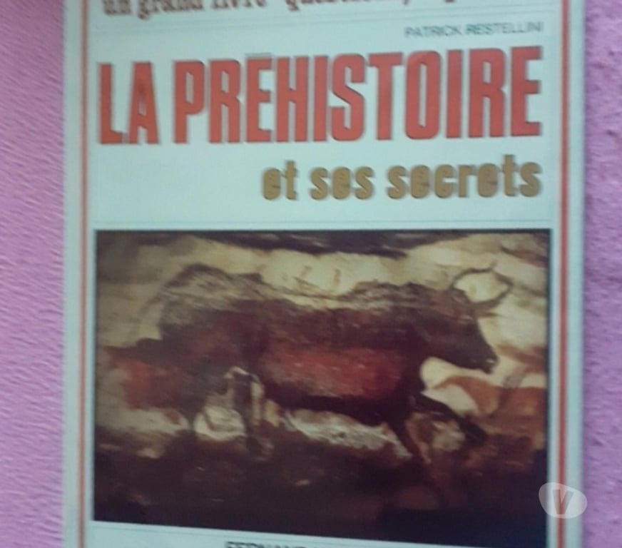 Livres occasion Eure-et-Loir Marchezais - 28410 - Photos Vivastreet Livre enfant "La Préhistoire et ses secrets"