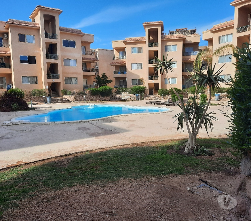 Appartements à vendre Egypte - Photos Vivastreet Sharm el sheikh vu mer et montagnes palmier ,sans vis à v
