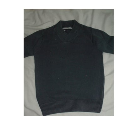 Vêtements occasion Selestat Bas-Rhin - Photos Vivastreet Pull JULES taille M