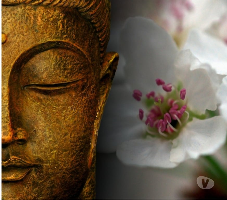 Massages Haute-Garonne Toulouse - Photos Vivastreet MASSAGE CALIFORNIEN