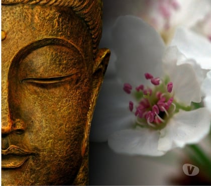 Massage Toulouse Toulouse - Photos Vivastreet MASSAGE CALIFORNIEN