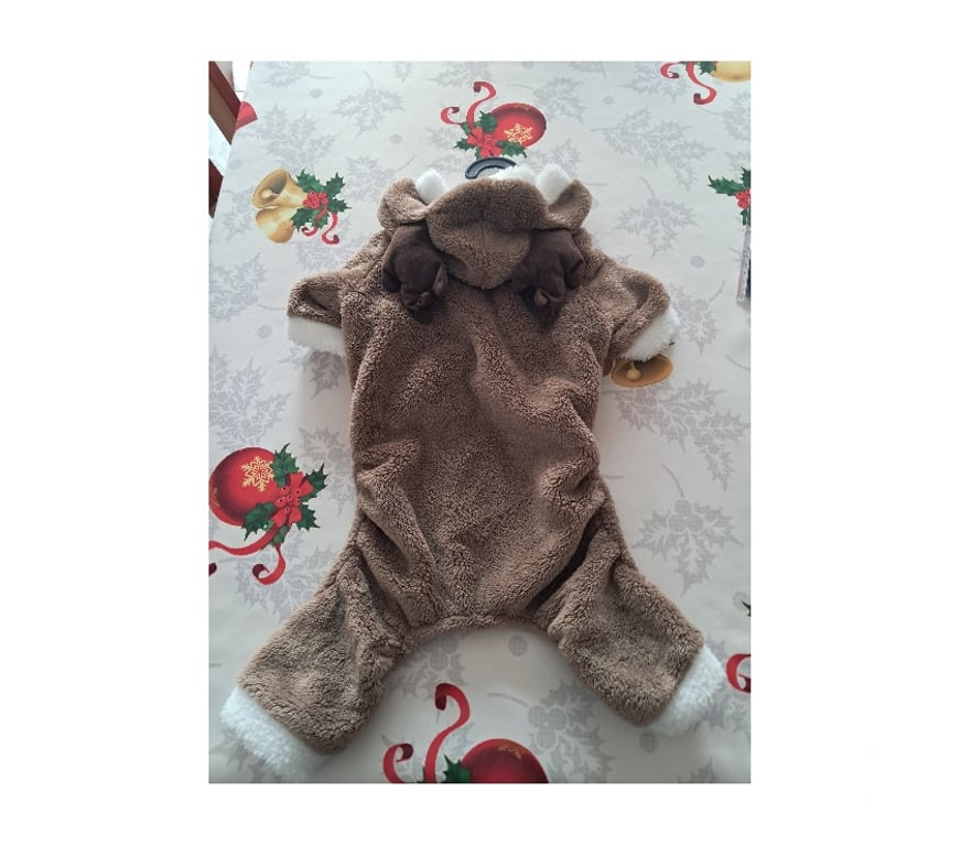 Services, accessoires animaux Moselle Feves - 57280 - Photos Vivastreet Manteau chien Renne noel pyjama fete caniche jack russel mod