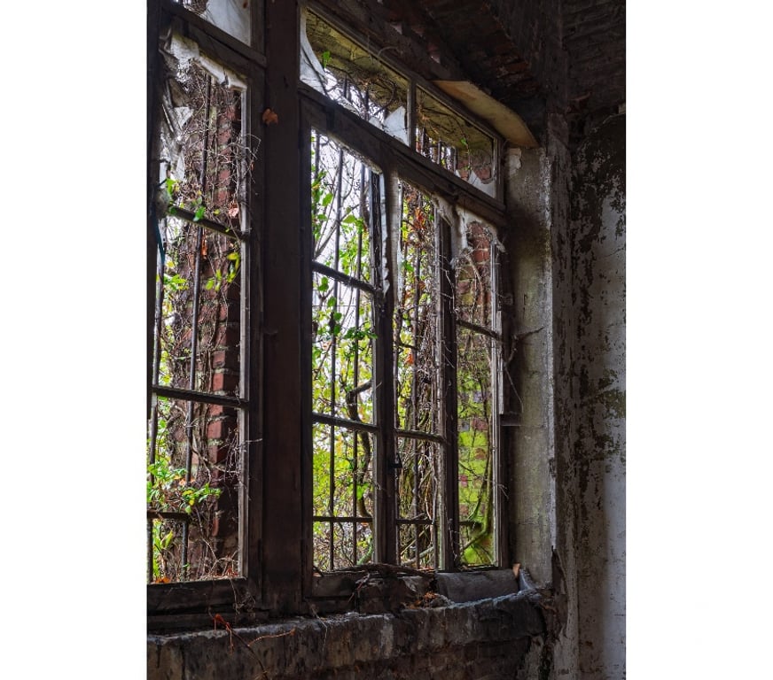 Castings, modèles, photographes Nord Cambrai - 59400 - Photos Vivastreet Recherche modèle, collaboration urnes.