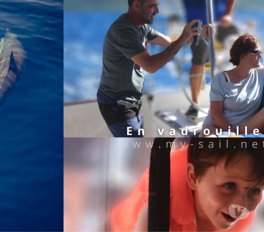 Expositions - Visites Guadeloupe Grand Bourg - 97112 - Photos Vivastreet balades en mer Guadeloupe, croisière