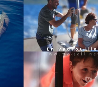 Exposition Visites Grand Bourg Guadeloupe - Photos Vivastreet balades en mer Guadeloupe, croisière