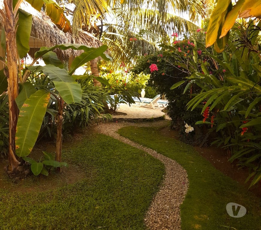 Vente Maison République dominicaine - Photos Vivastreet Plaisir aux Caraïbes, villa à vendre