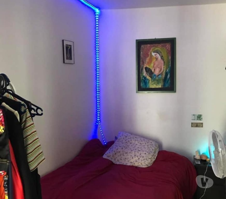 Appartement meublé Nord Lille - Photos Vivastreet studio de 30 m² situé à lille