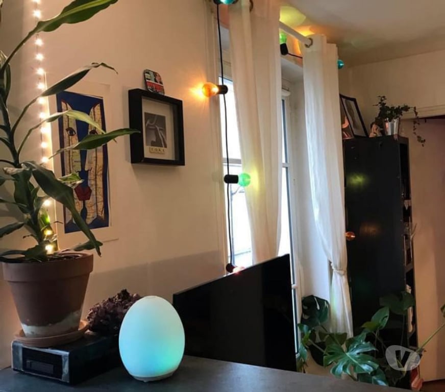 Appartement meublé Nord Lille - Photos Vivastreet studio de 30 m² situé à lille