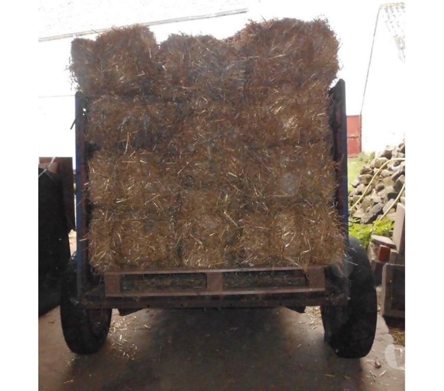 Services, accessoires animaux Nord Wattrelos - 59150 - Photos Vivastreet Bétaillère en bois