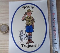 Autocollant collection Tintin Milou en Scout - Scoutisme