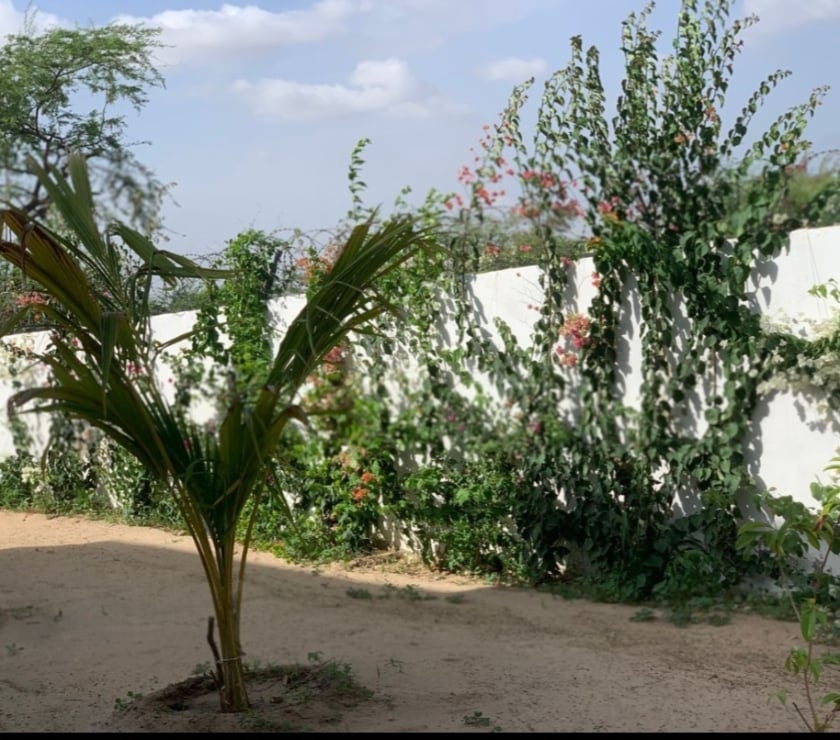 Vente Maison Sénégal - Photos Vivastreet Ensemble immobilier sur terrain 600m2