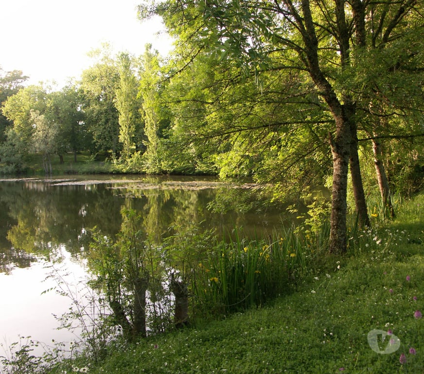 location saisonniere Dordogne Monestier - 24240 - Photos Vivastreet Gîte de charme à la campagne proche Bergerac avec piscine