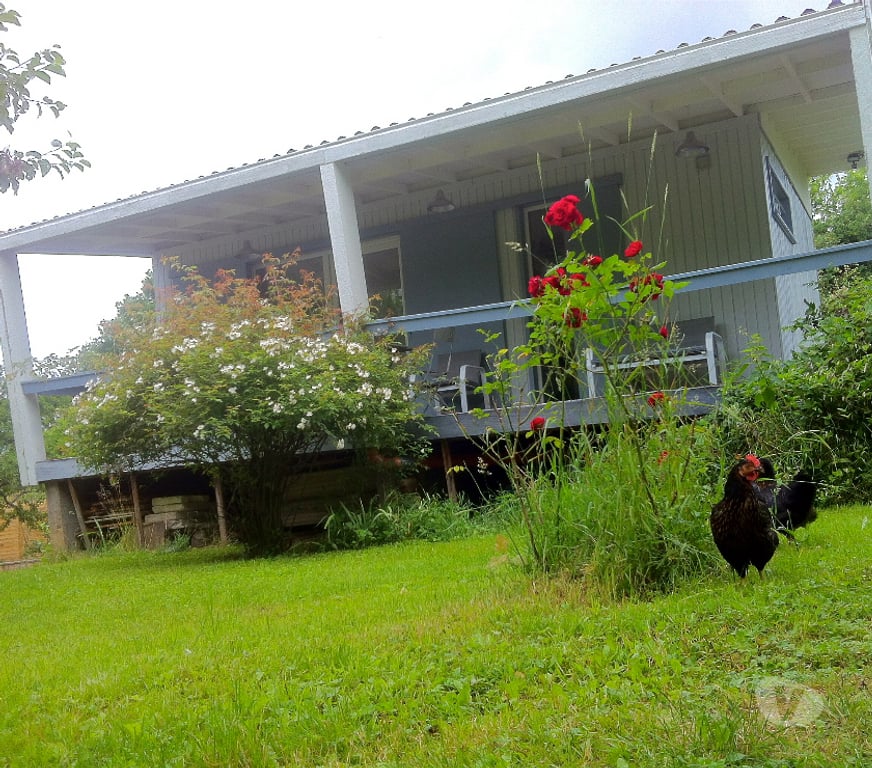 Appartement meublé Bas-Rhin Eichhoffen - 67140 - Photos Vivastreet joli petit bungalow à 10min d'Obernai