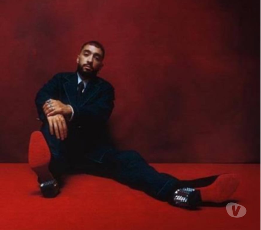 Spectacles Paris Paris 1er ardt - 75001 - Photos Vivastreet Concert Sofiane Pamart - Opera Garnier