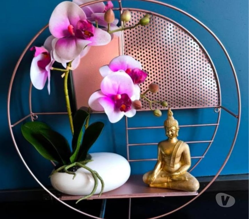 Massages Loire St Etienne - Photos Vivastreet Massage tantrique-Relaxation profonde&énergétique