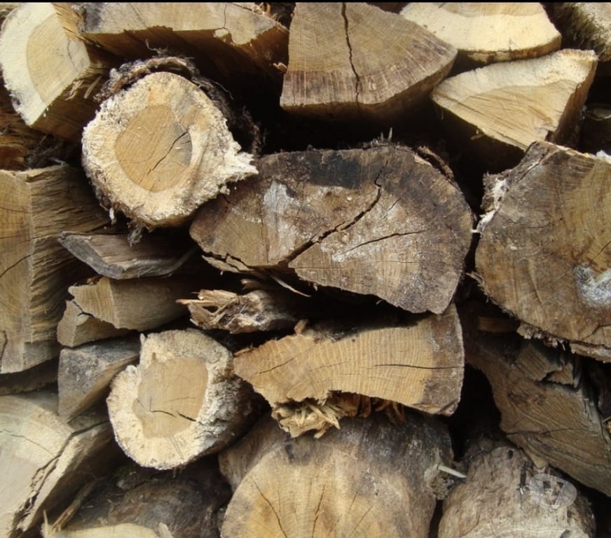  Vienne Civaux - 86320 - Photos Vivastreet bois de chaufage