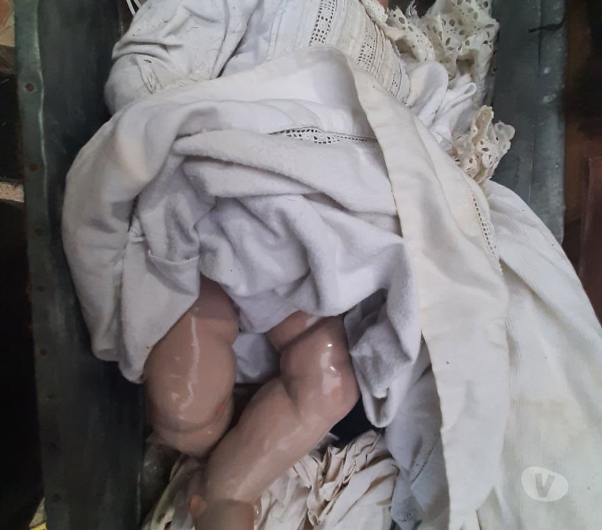 Collection Hérault Vias - 34450 - Photos Vivastreet Poupée de Marque Simon Halig 70cm