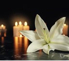 Massage Tantrique de Qualité