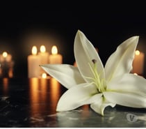 Massage Tantrique de Qualité