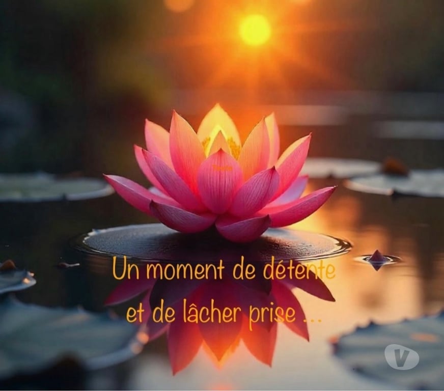 Massages Pas-de-Calais Lens - 62300 - Photos Vivastreet Massage et détente