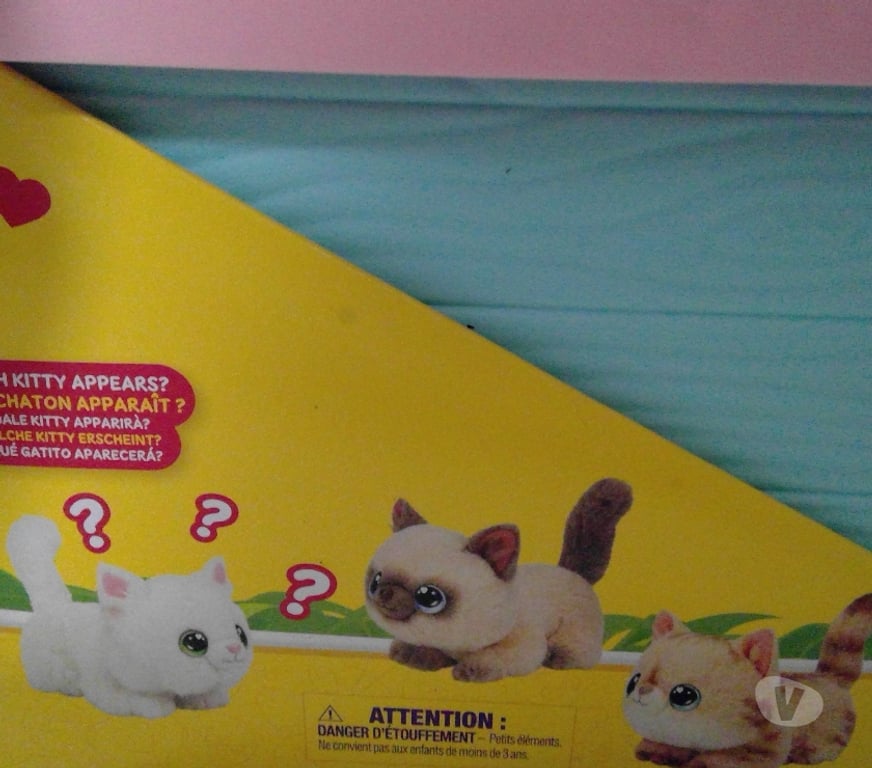 Jeux - Jouets Calvados Ablon - 14600 - Photos Vivastreet 26€ My kitty home