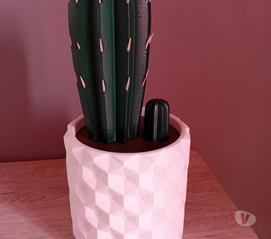 Ameublement & art de la table Loir-et-Cher Mareuil sur Cher - 41110 - Photos Vivastreet distributeur de cure-dents