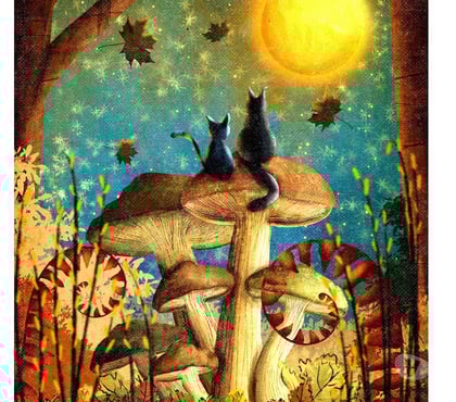 Aides à domicile Nantes Nantes - Photos Vivastreet H souhaite unaide à domicile soutien rangement