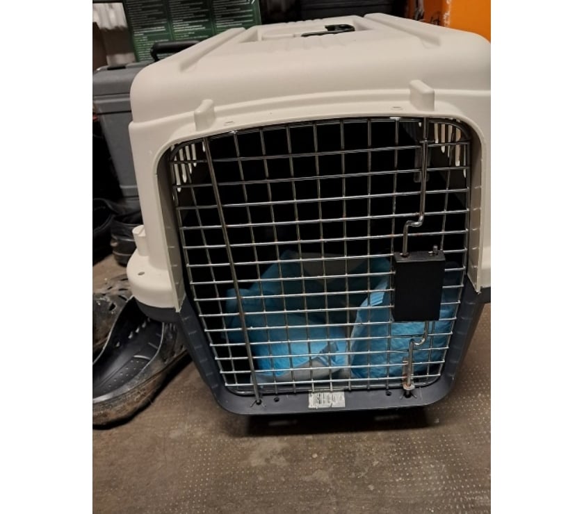 Services, accessoires animaux Moselle Maizières-lès-Metz - 57280 - Photos Vivastreet Cage transport animaux chien chats voiture