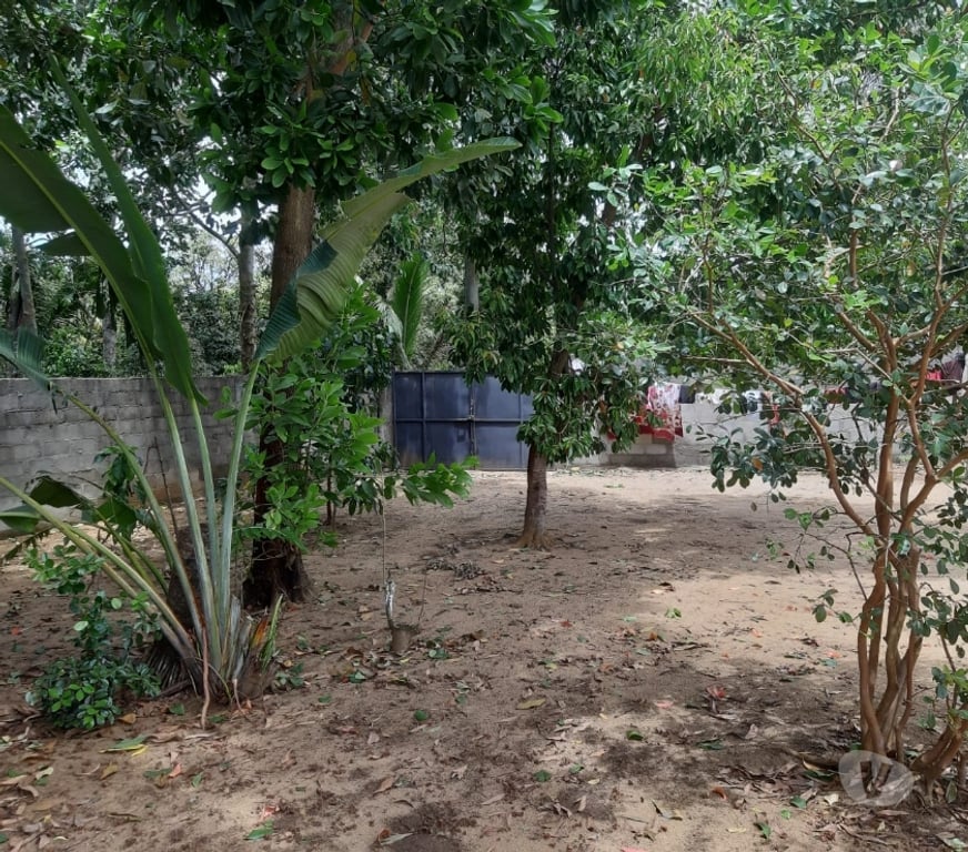 Vente Maison Madagascar - Photos Vivastreet Maison autonome