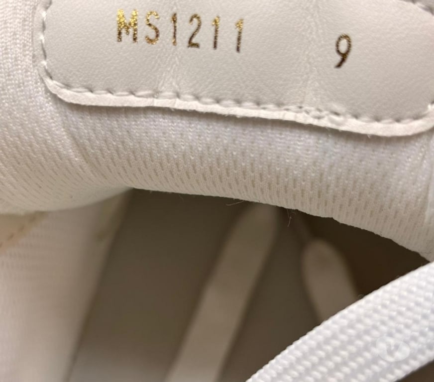 Chaussures Aisne Moulins - 02160 - Photos Vivastreet Paire de Louis Vuitton Traîner Black