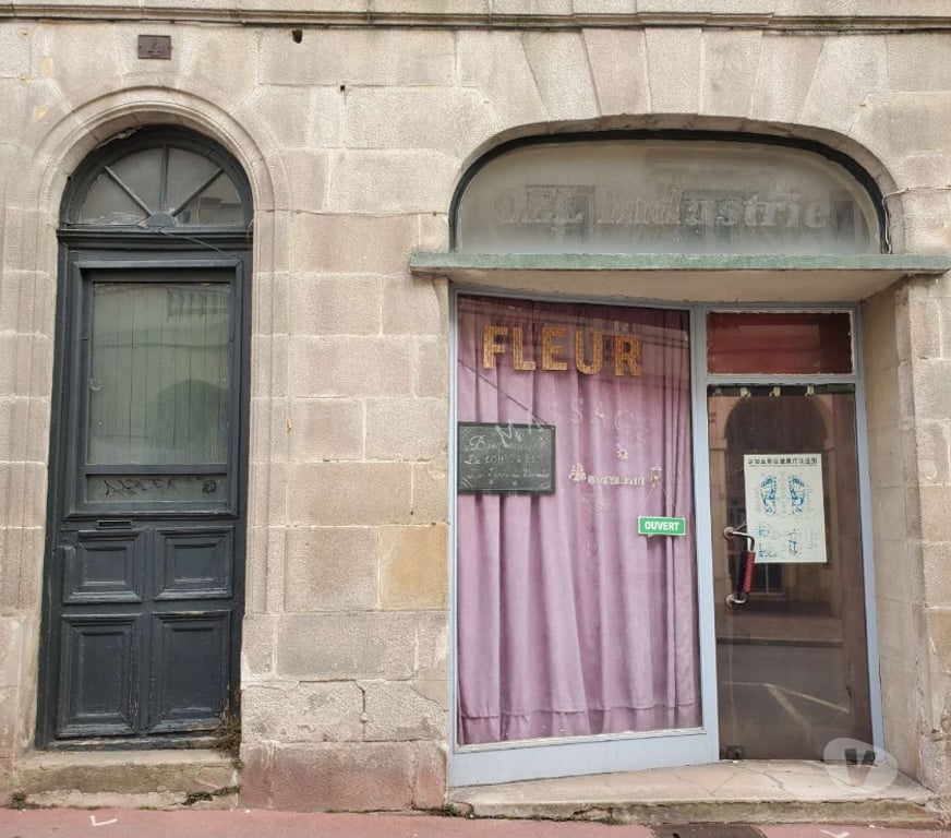 Massages Haute-Vienne Limoges - Photos Vivastreet Salon de Massage asiatique Fleur Centre Limoges