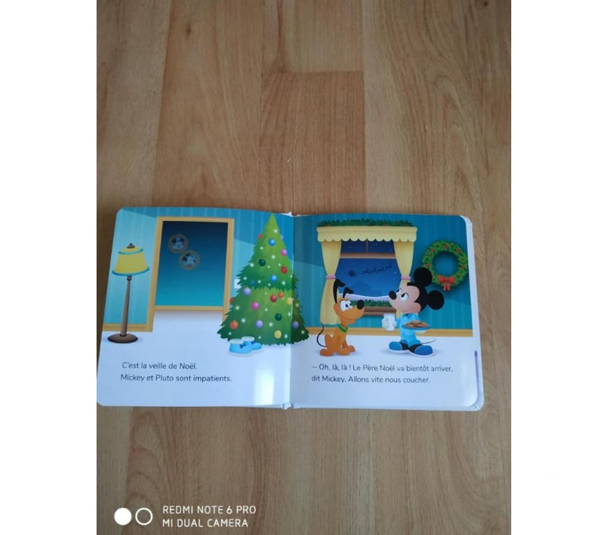 Livres occasion Ardèche Ardoix - 07290 - Photos Vivastreet Livre Mickey aide le père Noël (Neuf)