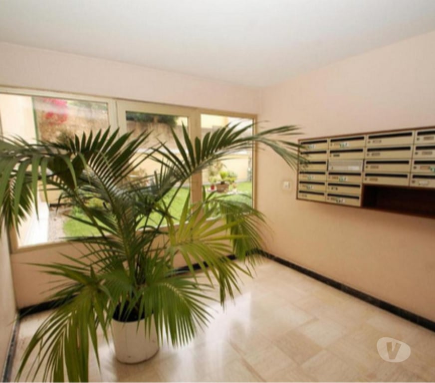 Location appartement Alpes-Maritimes Menton - 06500 - Photos Vivastreet loue grand studio
