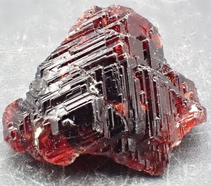 Photos Vivastreet Grenat rouge 