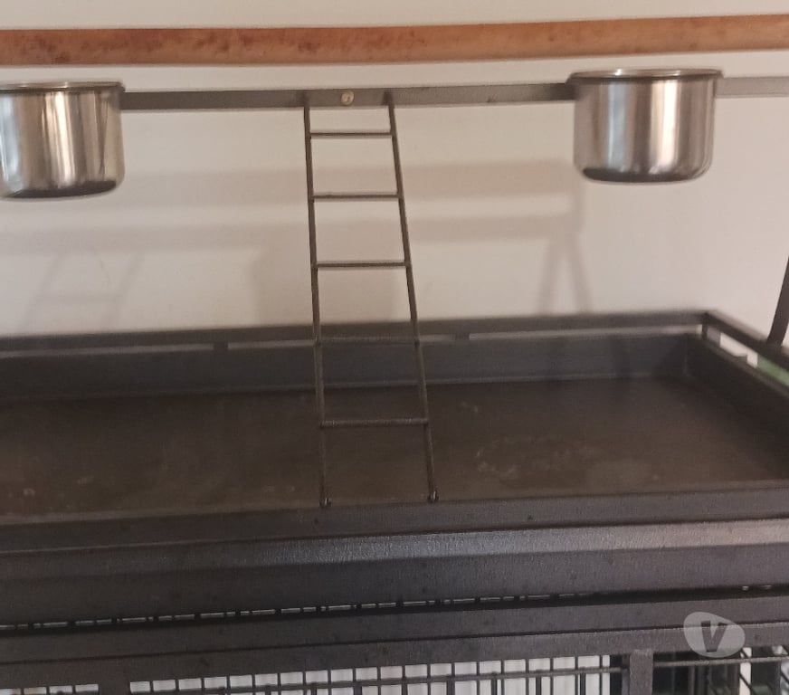 Services, accessoires animaux Nord Tourcoing - 59200 - Photos Vivastreet Cage pour perroquet