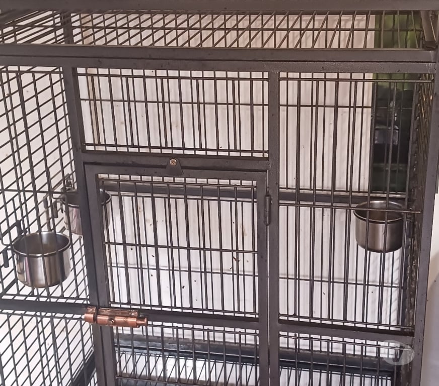 Services, accessoires animaux Nord Tourcoing - 59200 - Photos Vivastreet Cage pour perroquet