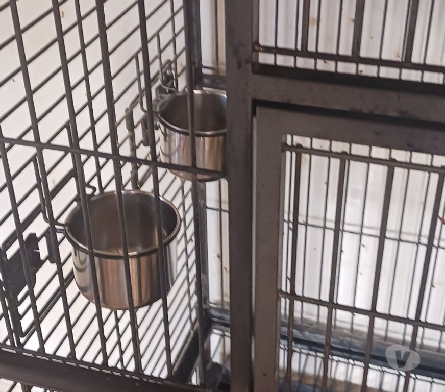Services, accessoires animaux Nord Tourcoing - 59200 - Photos Vivastreet Cage pour perroquet