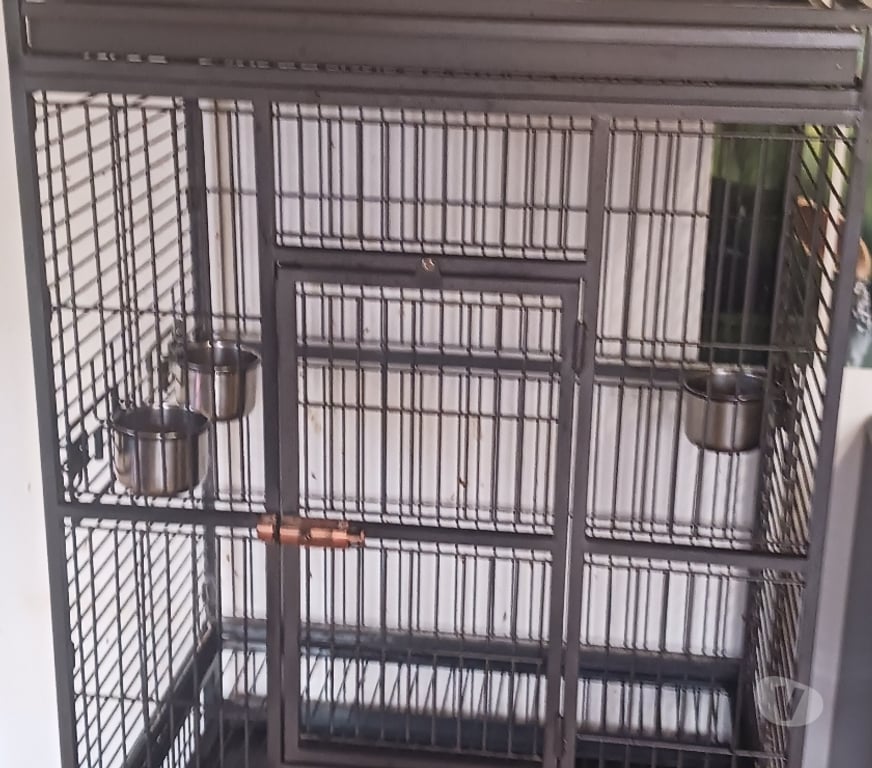 Services, accessoires animaux Nord Tourcoing - 59200 - Photos Vivastreet Cage pour perroquet