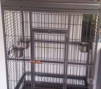 Services, accessoires animaux Tourcoing Nord - Photos Vivastreet Cage pour perroquet