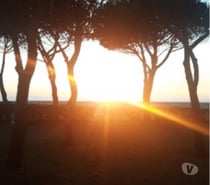 Echangeons nos méthodes de massage