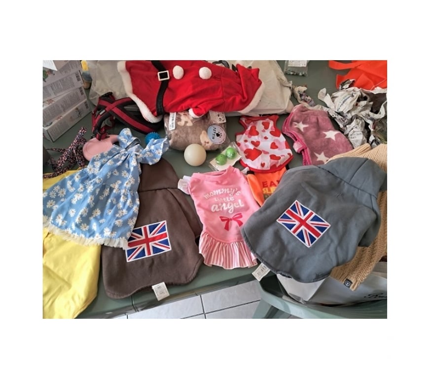 Services, accessoires animaux Moselle Semecourt - 57280 - Photos Vivastreet Blind Lot accessoires chien chat vetements animaux noel