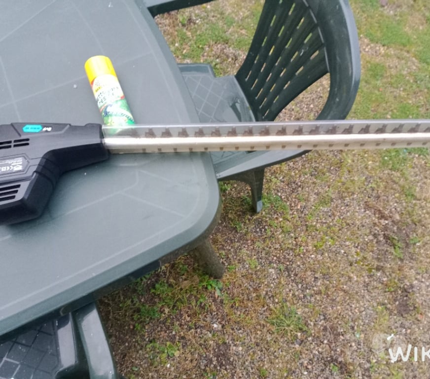  Allier Montlucon - 03100 - Photos Vivastreet TAILLE HAIE télescopique