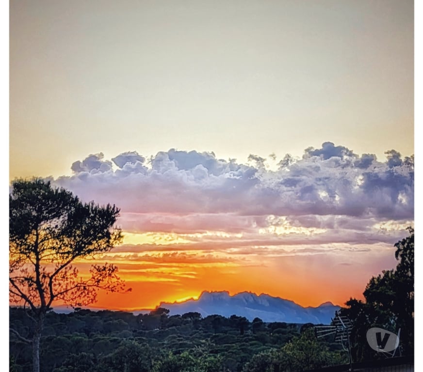 location saisonniere Var Frejus - 83600 - Photos Vivastreet escabour 40- 56m² - climatisé - domaine du pin de la legue