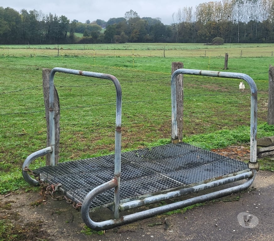 Services, accessoires animaux Saône-et-Loire Torpes - 71270 - Photos Vivastreet Luge de dressage pour chevaux