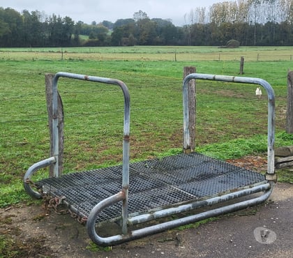 Services, accessoires animaux Torpes Saône-et-Loire - Photos Vivastreet Luge de dressage pour chevaux