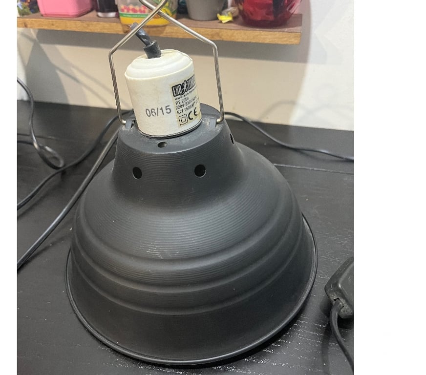 Services, accessoires animaux Val-d'Oise St Brice sous Foret - 95350 - Photos Vivastreet Terrarium 90x45x60