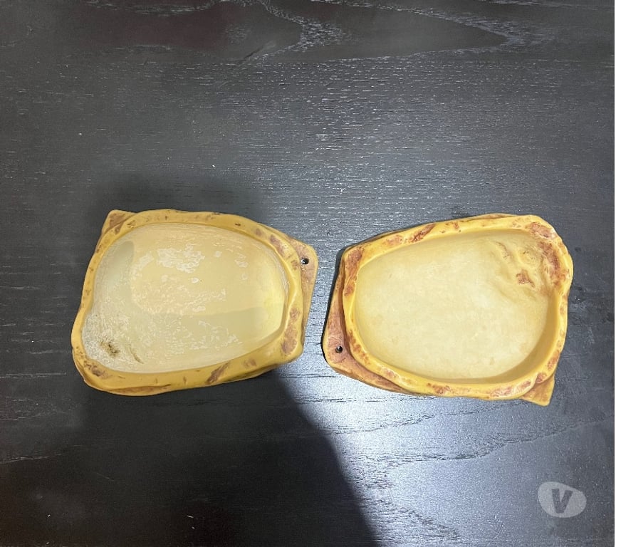 Services, accessoires animaux Val-d'Oise St Brice sous Foret - 95350 - Photos Vivastreet Terrarium 90x45x60