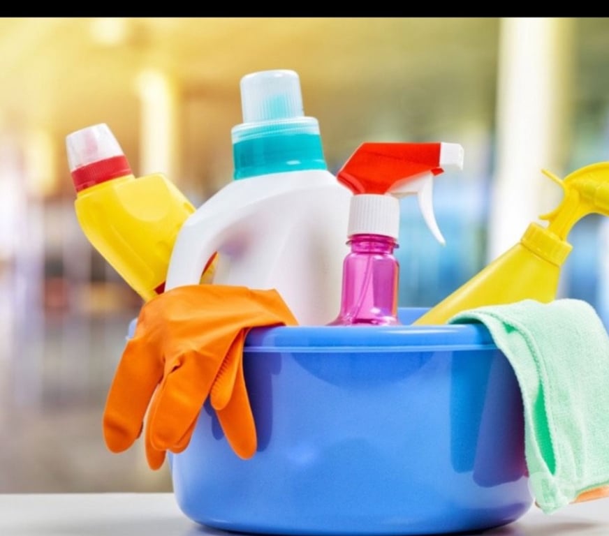 Aides à domicile Pyrénées-Orientales Perpignan - Photos Vivastreet Employé de ménage