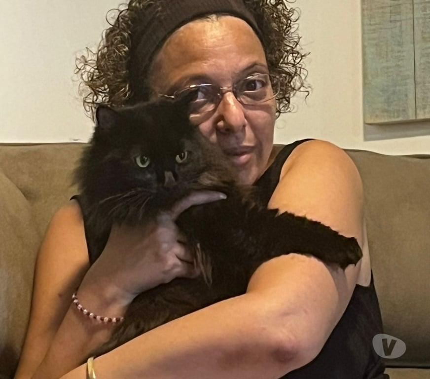 Services, accessoires animaux Doubs Besancon - 25000 - Photos Vivastreet propose de Garder vos Animaux